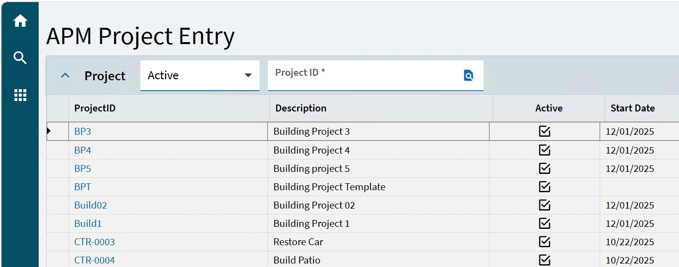 APMProjectEntry